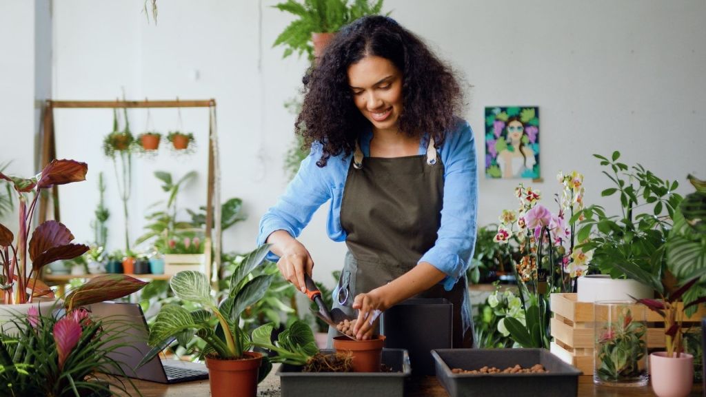 woman transplanting houseplants