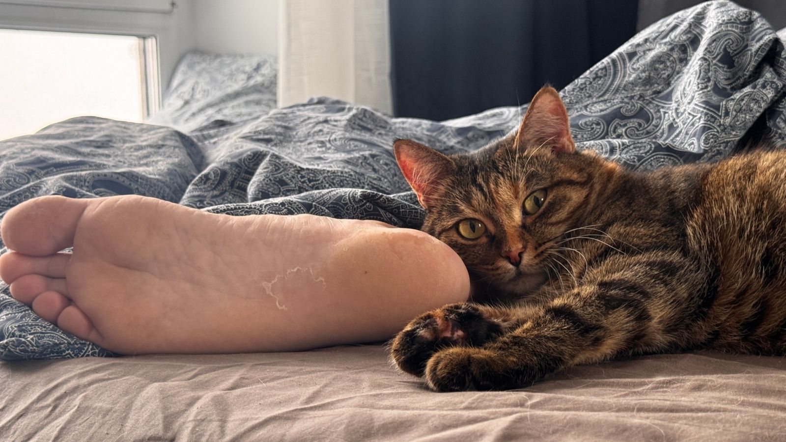 cat sleeping next to man's foot