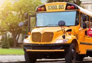“He’s Holding Up the Kids!”: Furious School Bus Driver Launches a Campaign to Get a Defiant Construction Worker Fired Over Massive Traffic Meltdown