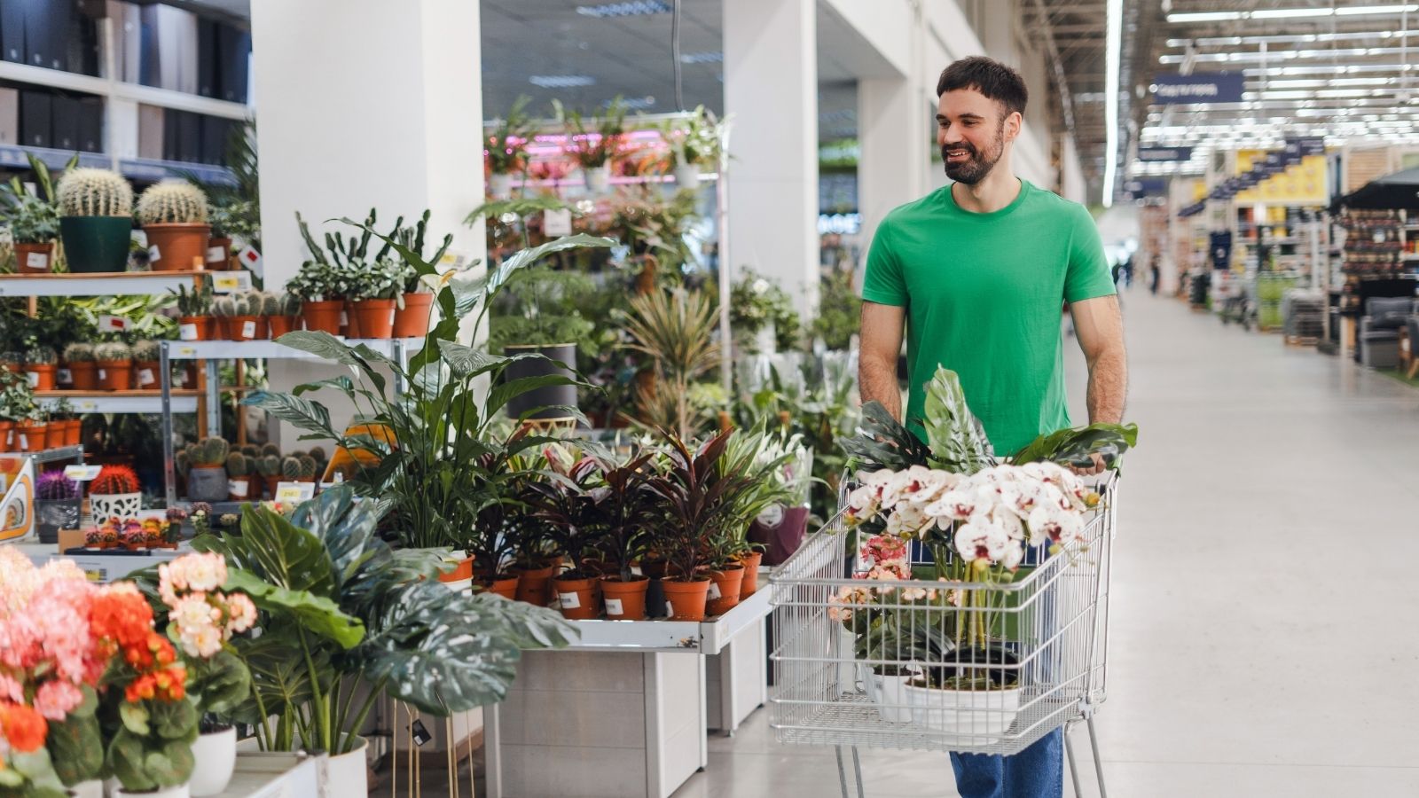 man shopping for plants