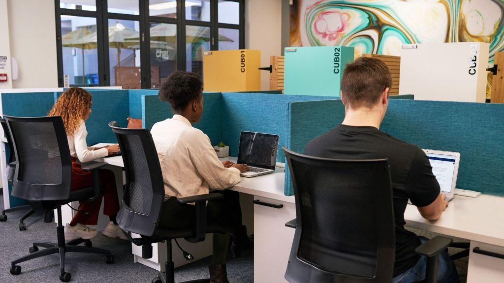 office workers in cubicles