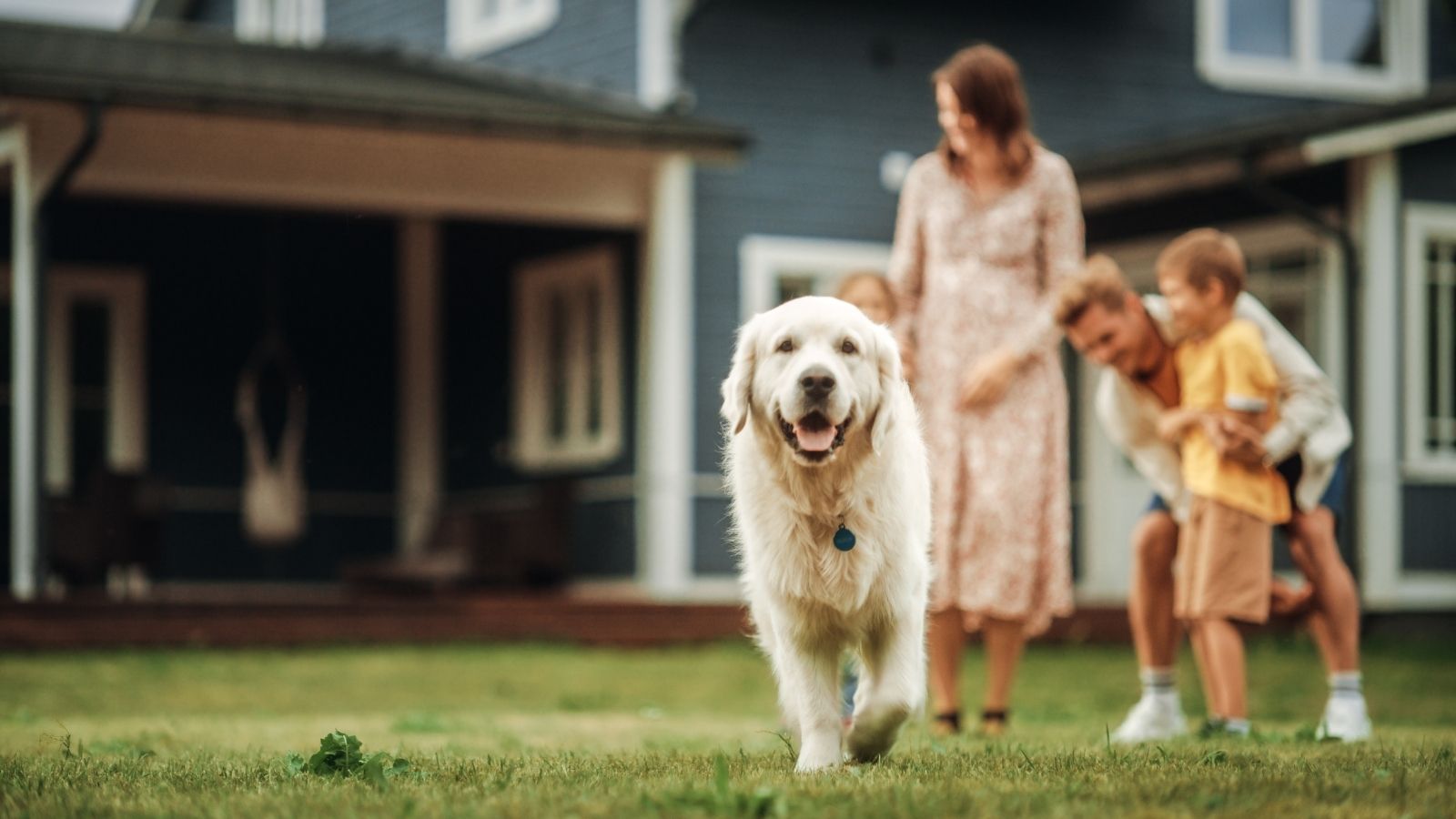 dog running in front yard with happy family in the background