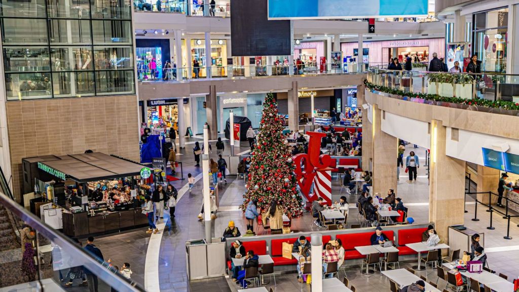 Busy mall during Christmas season