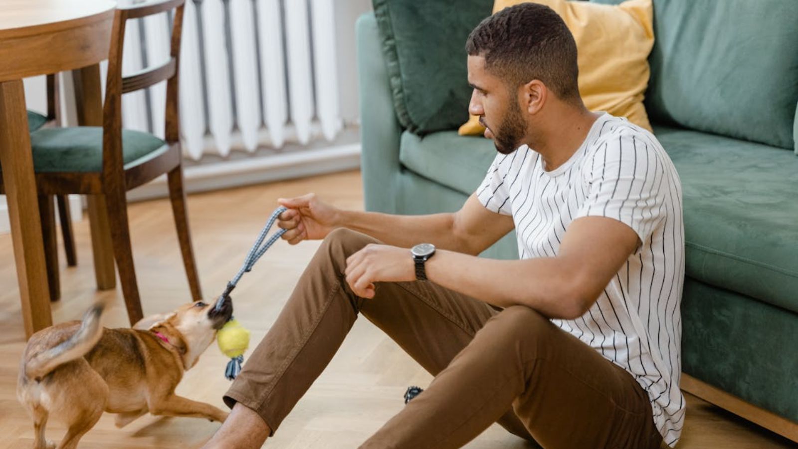 Man playing with his dog at home