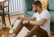 She Tried to Arrange Shared Custody of Her Dog After a Five-Year Breakup, But Her Ex Used the Pet as Leverage Instead<