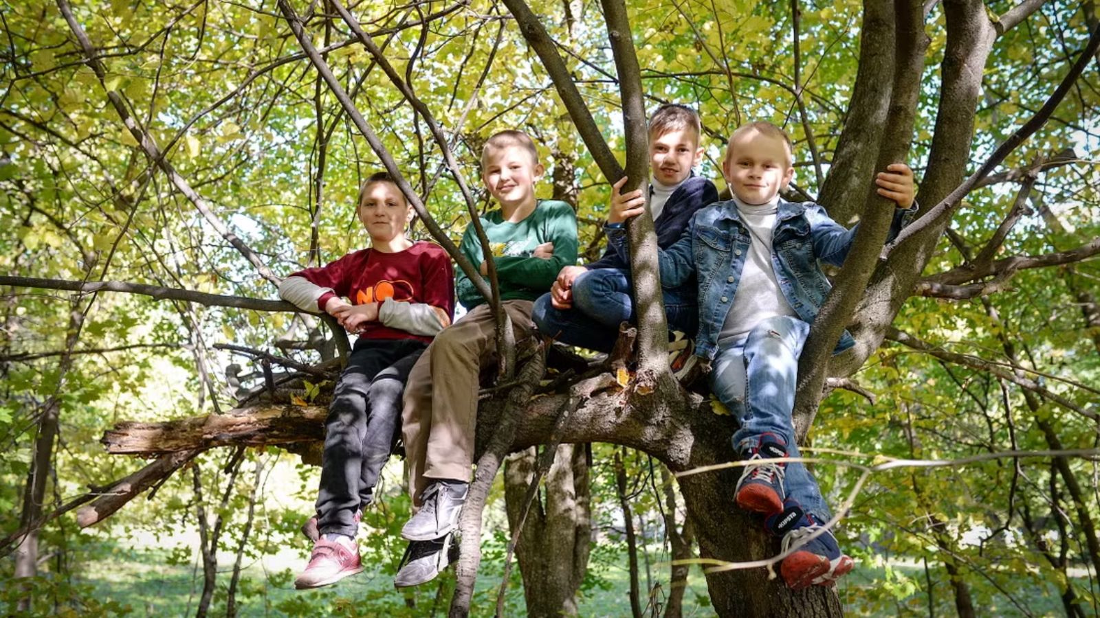 Children sitting on a tree branch and smiling