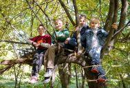 Her Neighbors Were Peeking Directly Into Her Window, But Their Mom Dismissed It as “Kids Will Be Kids”