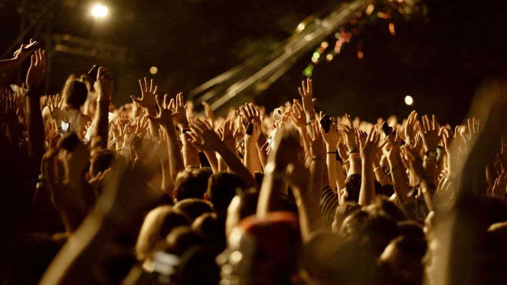 Large group of fans with arms raised having fun on a music concert at night