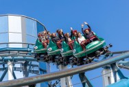 Woman Doesn’t Want to Return to Her Favorite Amusement Park Because Her Friend Can No Longer Ride Most Attractions
