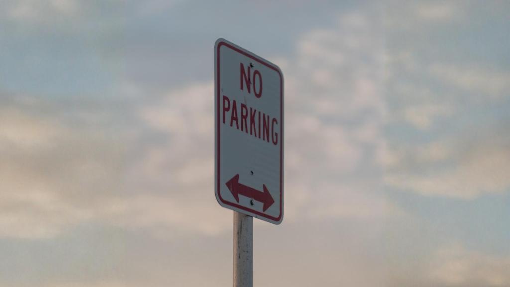 closeup of a no parking sign
