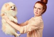 Three Roommates Were Done With Their Housemate’s Mess and Dirty Dog — So They Finally Told Her the Dog Stinks