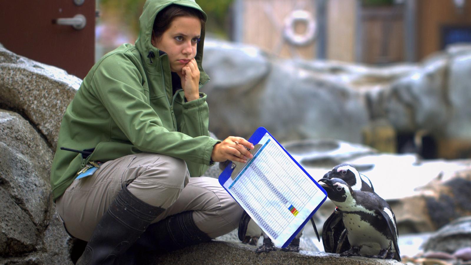 A Summer Hire’s Lack Of Effort Leads To Tension With An Experienced Animal Care Worker