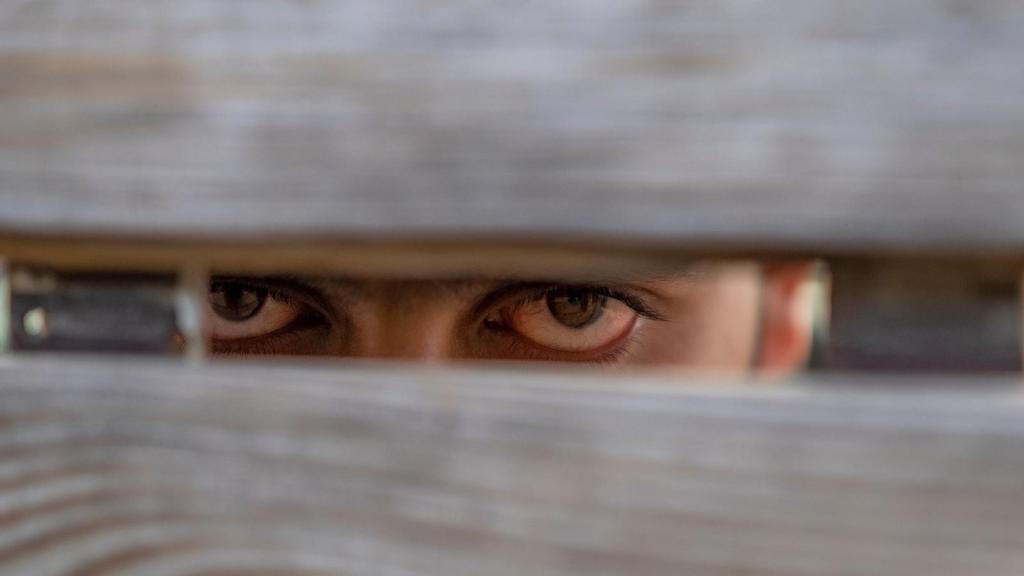 eyes looking through wooden fence