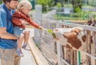 The Ultimate Party Crash Nightmare: Woman Brings Treats to a Rescue Farm and Faces an Aggressive Guilt-Trip From Entitled Parents