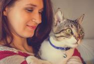 Person Rescues Sick Street Cat, Then Faces Pressure From Its Former Owners to Give It Back