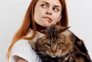 Cat Owner Prepares for Awkward Standoff After Deciding to Report a Toxic Medical Receptionist to the Vet