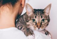 Her Boyfriend Keeps Forgetting to Put His Things Away — His Solution Is for Her to Rehome One of Her Cats