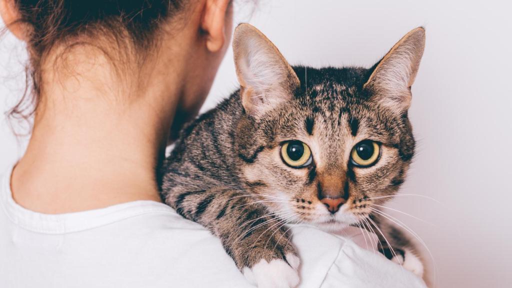 woman holding a cat