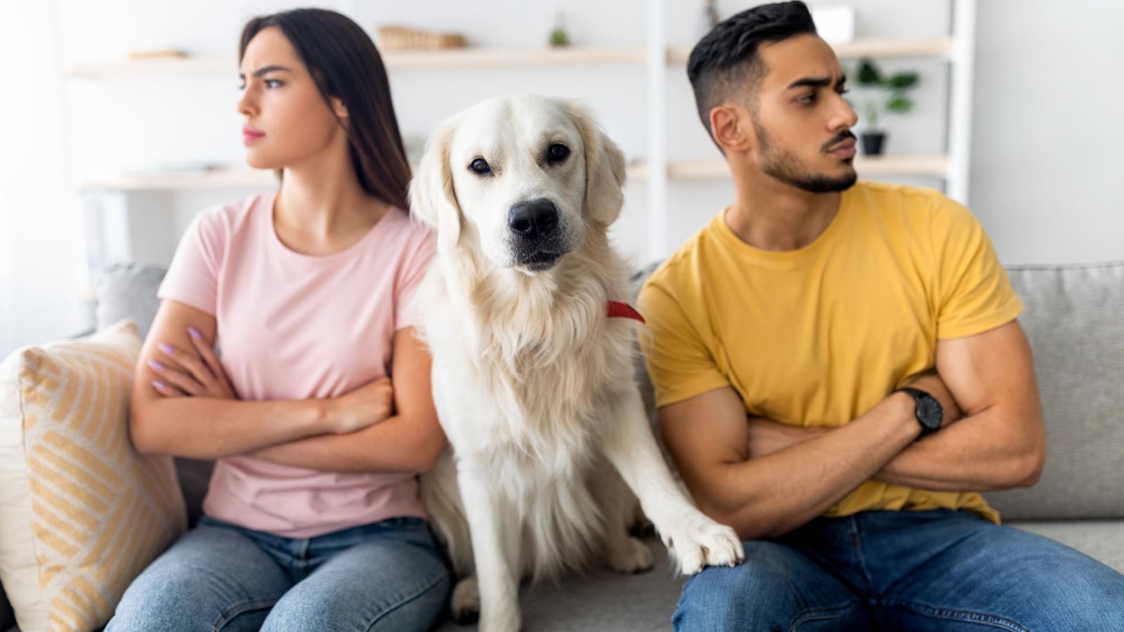 Woman Gives Boyfriend a Bold Ultimatum: Get Rid of Your Dog, or We Dont Move In couple with a dog