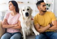 Woman Gives Boyfriend a Bold Ultimatum: Get Rid of Your Dog, or We Don’t Move In