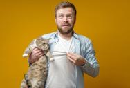 His Cat Escaped Onto a Busy Street — He Was Already Panicking When a Food Delivery Worker Wouldn’t Leave Him Alone