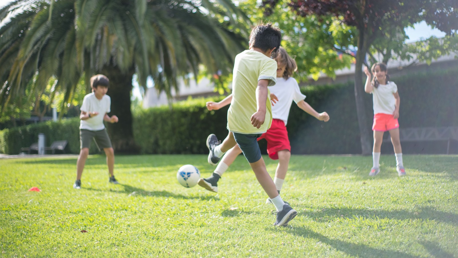 Her Partner Agreed to Coach Their Son’s Soccer Team, but She Ended Up Handling Nearly All the Responsibility pexels kampus 8813567 Her Partner Agreed to Coach Their Son’s Soccer Team, but She Ended Up Handling Nearly All the Responsibility