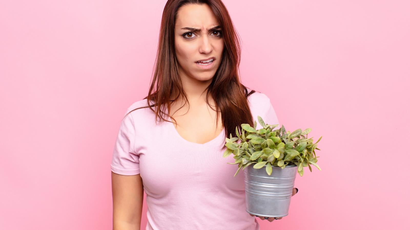 Mother in Law Upset After Woman Refuses to Add One Plant to Her Garden woman holding a plant