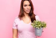 Mother-in-Law Upset After Woman Refuses to Add One Plant to Her Garden