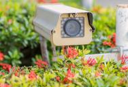 Homeowner Found a Camera Their Neighbor Set Up to Record Them, And They Smashed It to Pieces