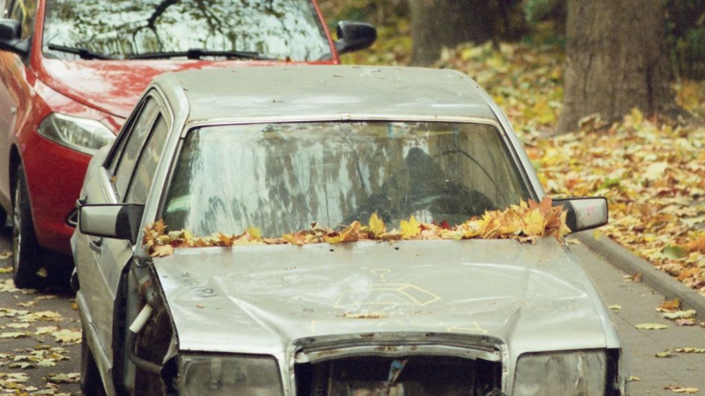 Broken cars parked on the side of the street with dried leaves