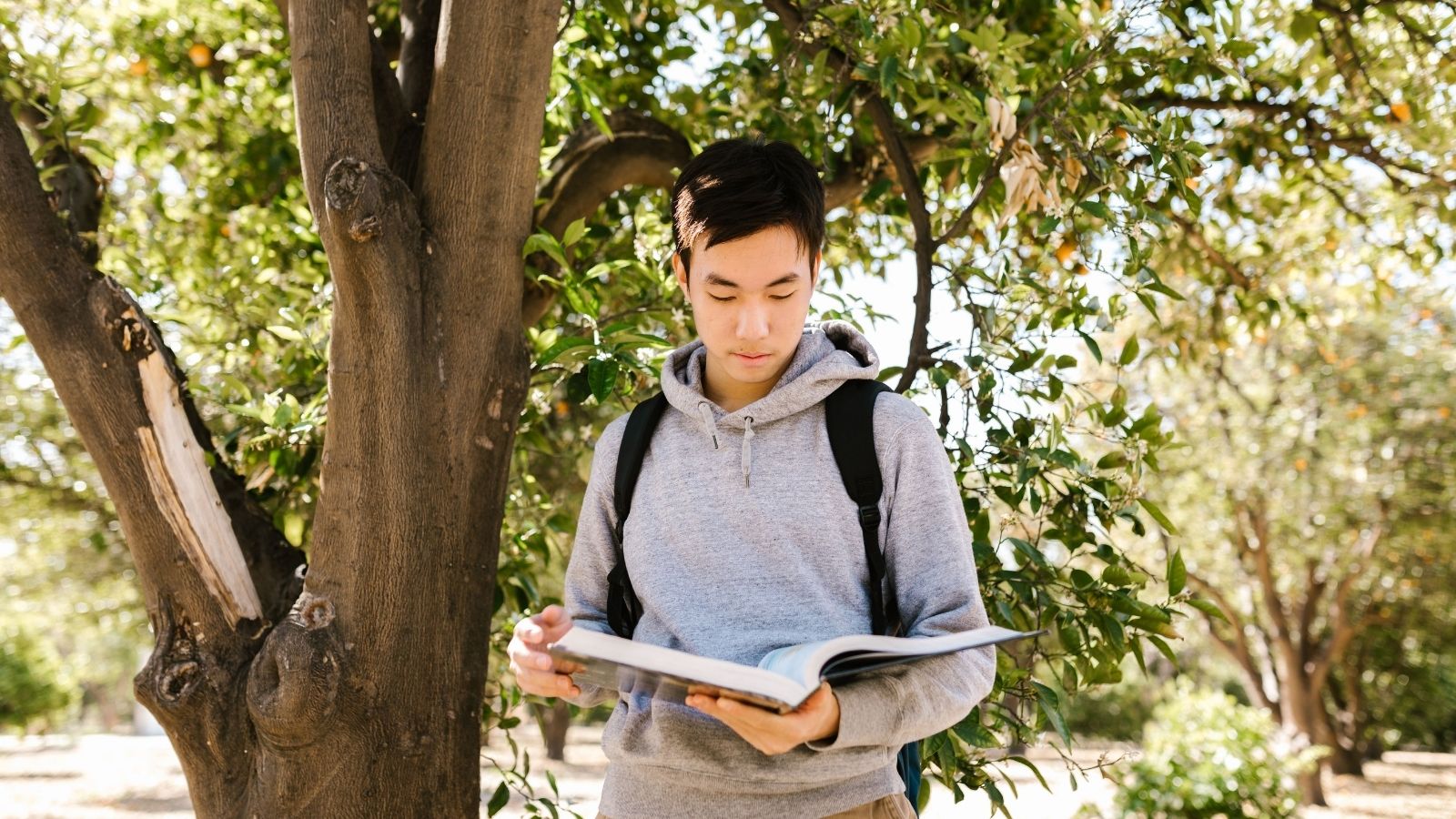 When His Teammates Refused to Contribute, He Was Forced to Decide Whether to Carry Them or Speak Up A teenager with a book under a tree