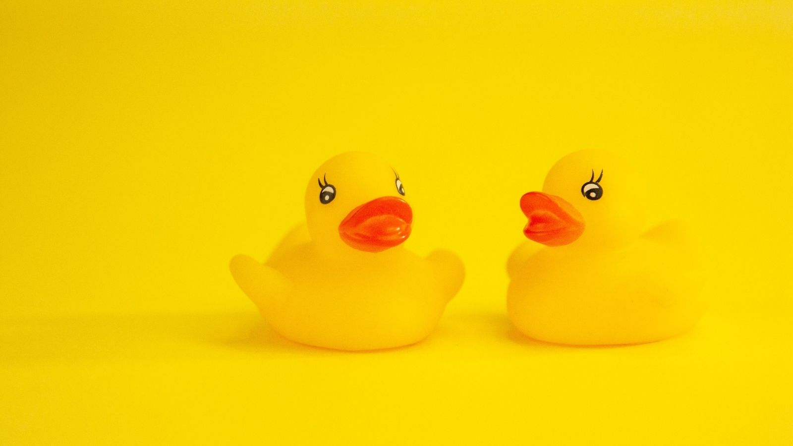 Two rubber ducks