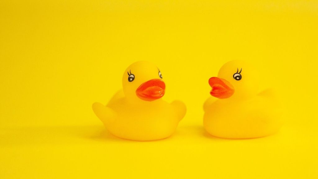Two rubber ducks