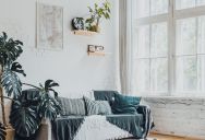 Why Her Roommates’ Unapproved Living Room Redesign Sparked an All-Out War