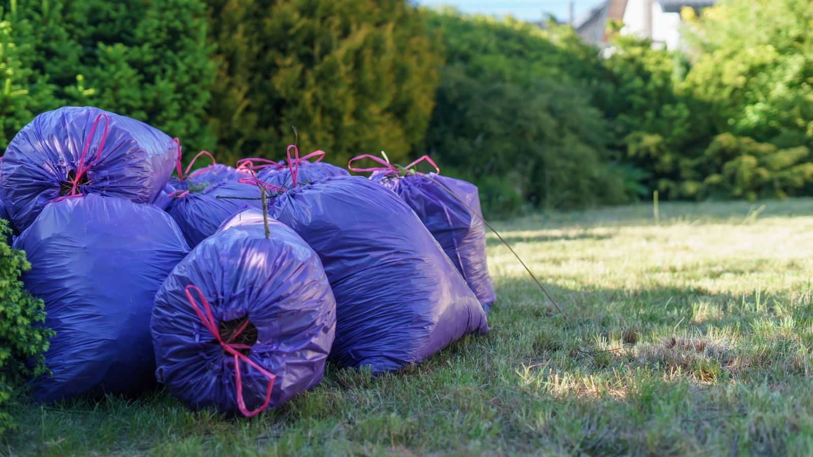 Her Roommate Refused to Help With the Trash, So She Turned Her Bedroom Door Into a Landfill Bags of trash