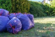 Her Roommate Refused to Help With the Trash, So She Turned Her Bedroom Door Into a Landfill