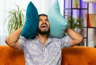 Frustrated Homeowner Responds to Noisy Neighbors by Giving Them a Taste of Their Own Medicine
