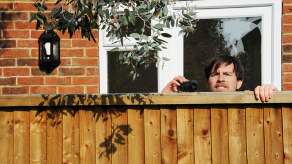 Shady Neighbor
