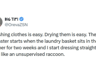 The Shirk Report – Volume 906 – Aug 20
