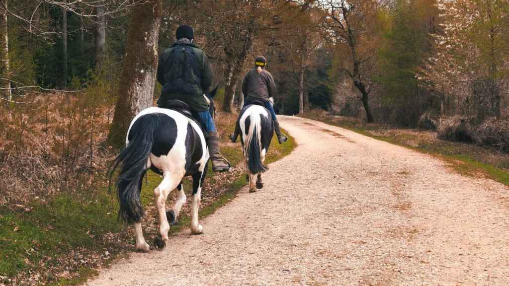People riding horses down a rural road