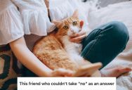 A Friend Wanted To Come Over With Her Dogs, But She Said No Because She Has Cats That Would Be Scared Of Them