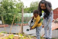 Woman Complains After Volunteers Tell Her Son to Stay Away From the Greenhouse, but the Reason Changes Her Mind