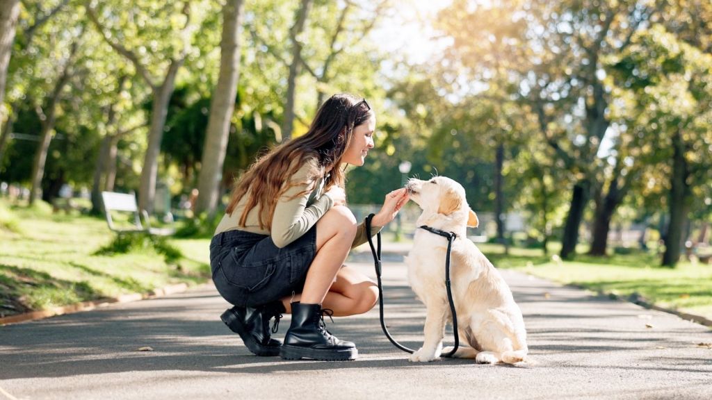 woman at the park with her dog