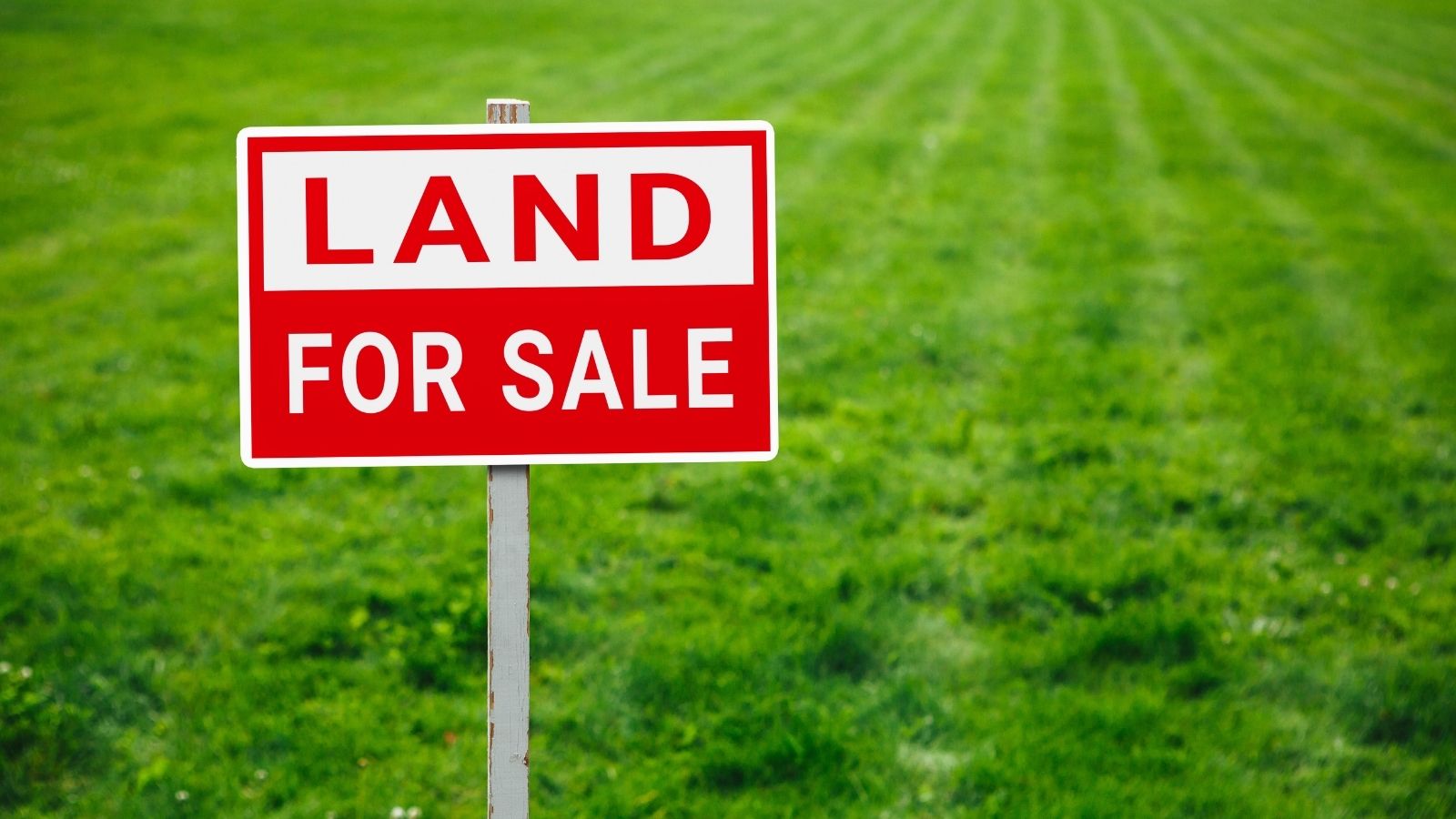 She Made a Handshake Deal to Buy the Empty Lot Next Door. Then Her Neighbor Passed Away, and the Inheriting Daughter Unleashed a Real Estate Nightmare. sign that reads "land for sale"