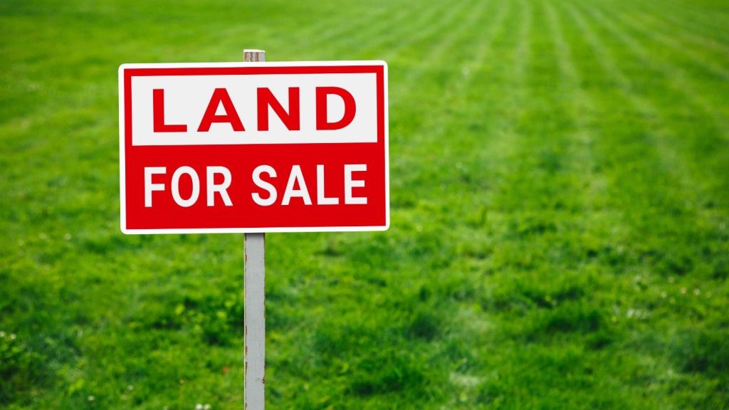 sign that reads "land for sale"