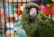 “Fire Him Right Now!”: Mom Ignores Son at Pet Store—Then Explodes When Employee Defends the Animals