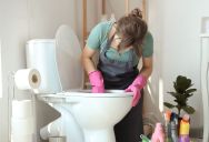 They Asked Their Landlord to Clean the Toilet—But the Fix Came With a Surprising New Rule