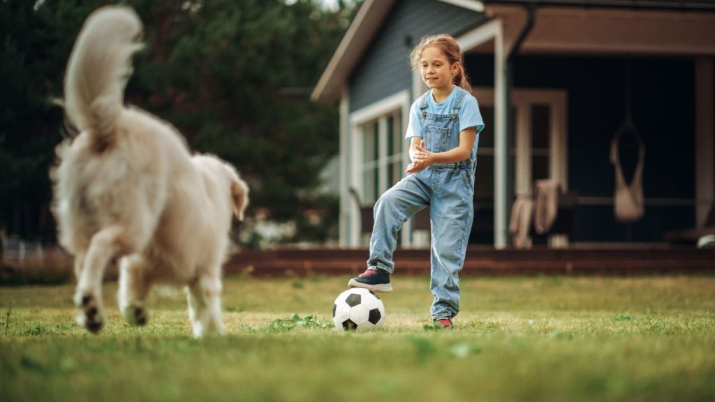little girl, dog and soccer ball in front yard