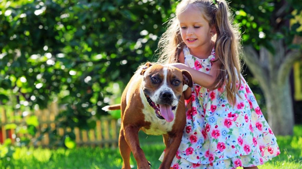 little girl playing with a dog in the grass