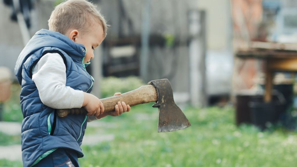 little boy holding an axe